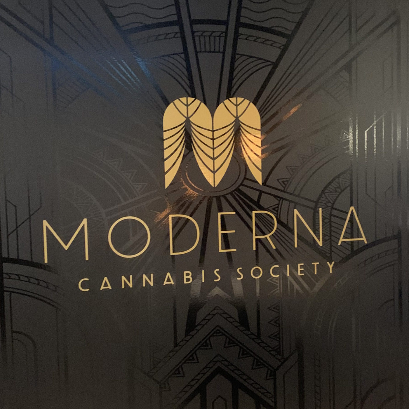 MODERNA CANNABIS